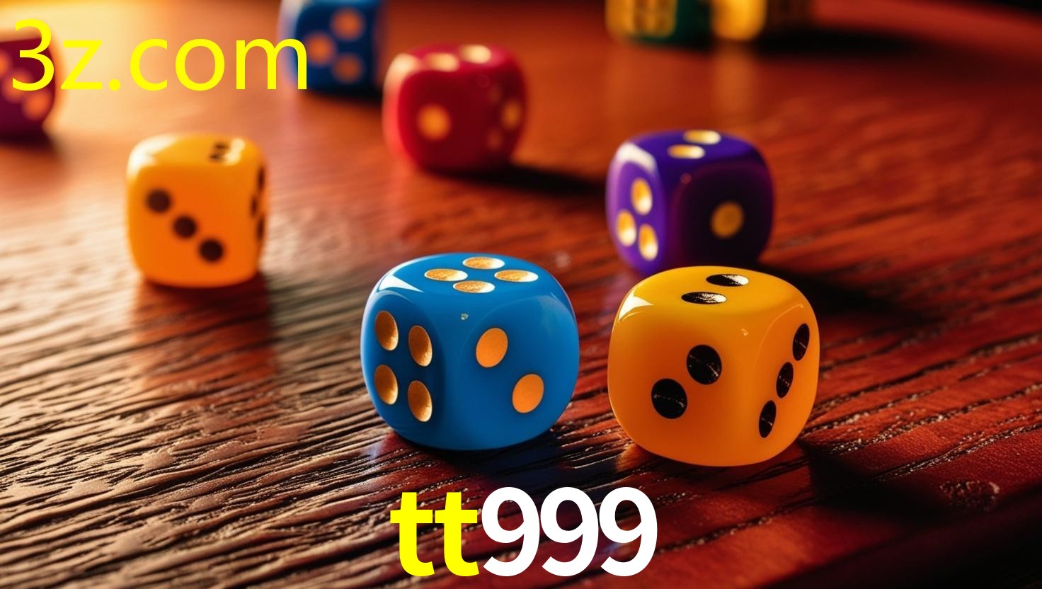 TT999.COM